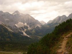 2013-09-08_6Falkenh-Steinfalk (040).JPG